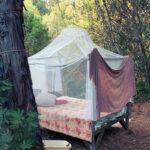 Bed outside in the garden