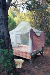 Homeopathy and Fertility Bed outside in the garden