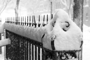 Homeopathy and Flu  Cold snowy weather heralds the flu season
