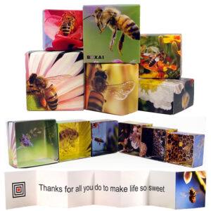 bee-boxai-gift
